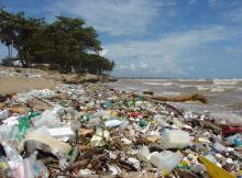 Problemas medioambientales derivados de una mala gestión de residuos