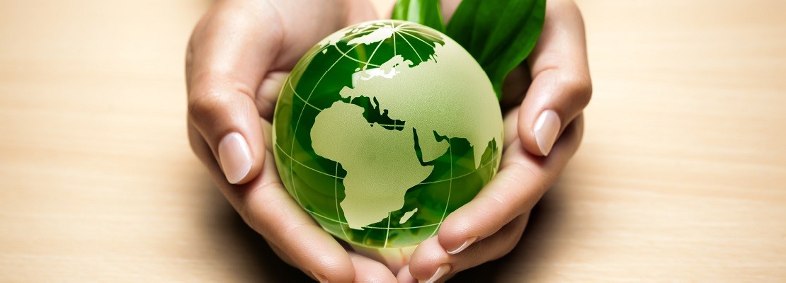 ISO 50001 de la ISO 14001 empresa verde