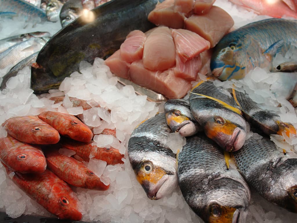 destrucción de productos alimentos Leonardo Gestión de Residuos