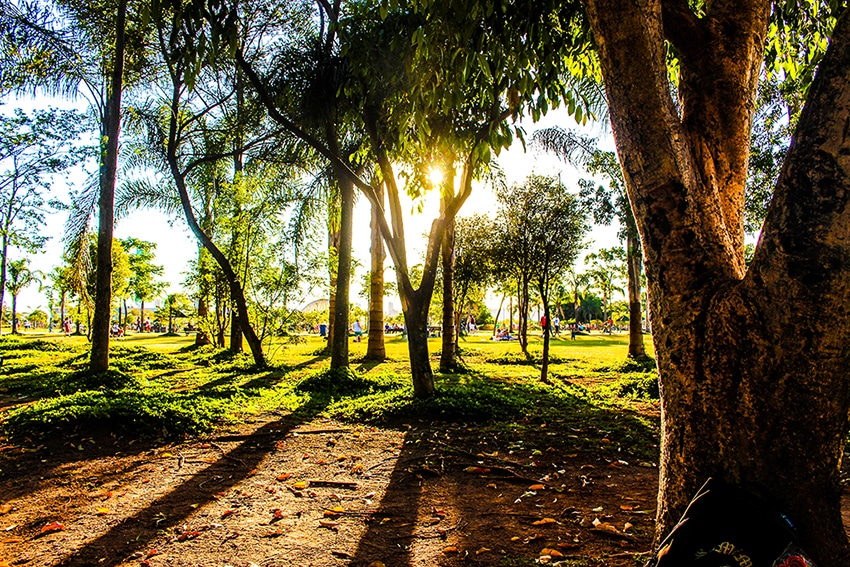 Ahorra dinero en tu empresa ayudando al medio ambiente portada