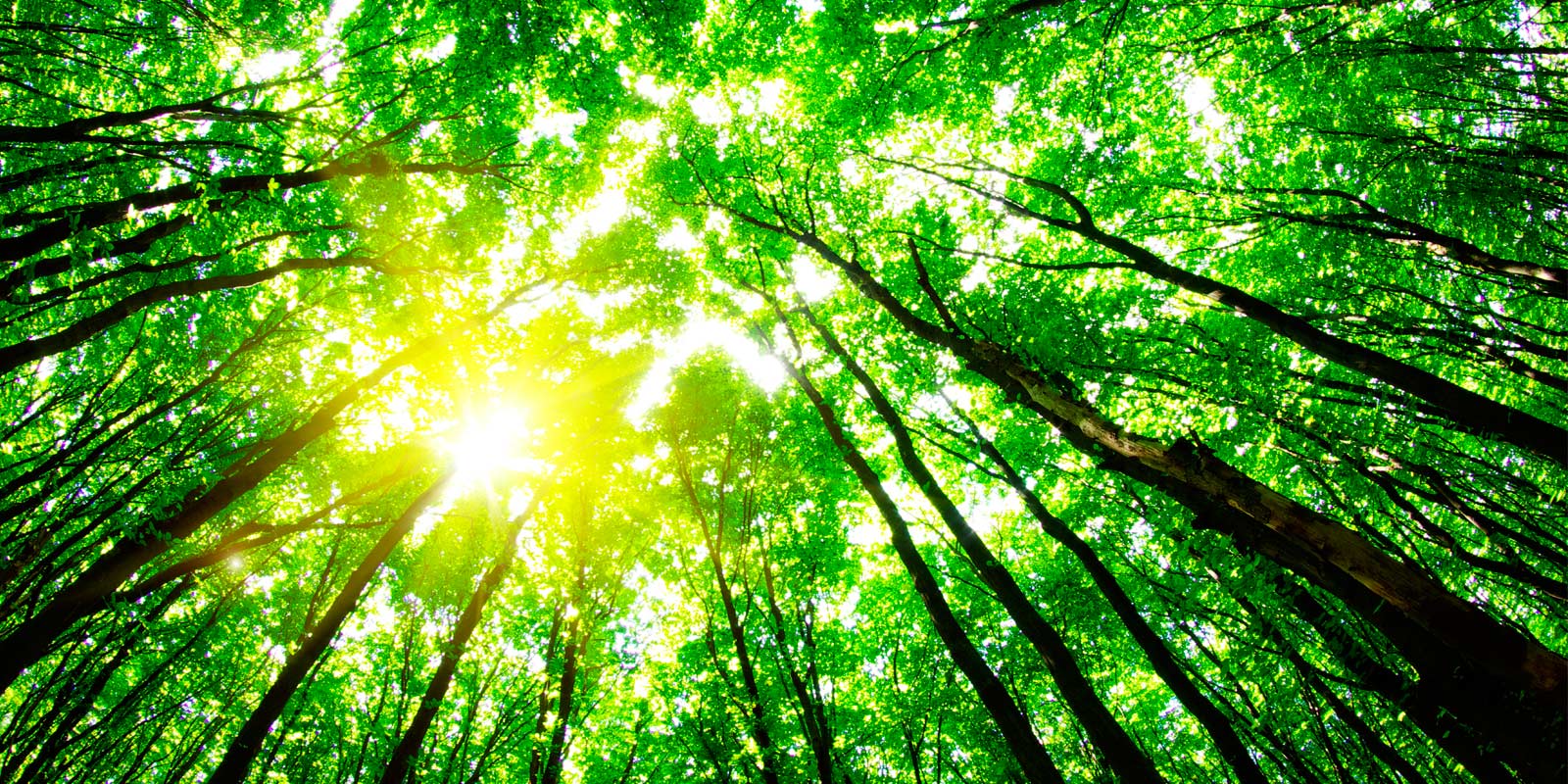 plan de minimización de residuos peligrosos medio ambiente