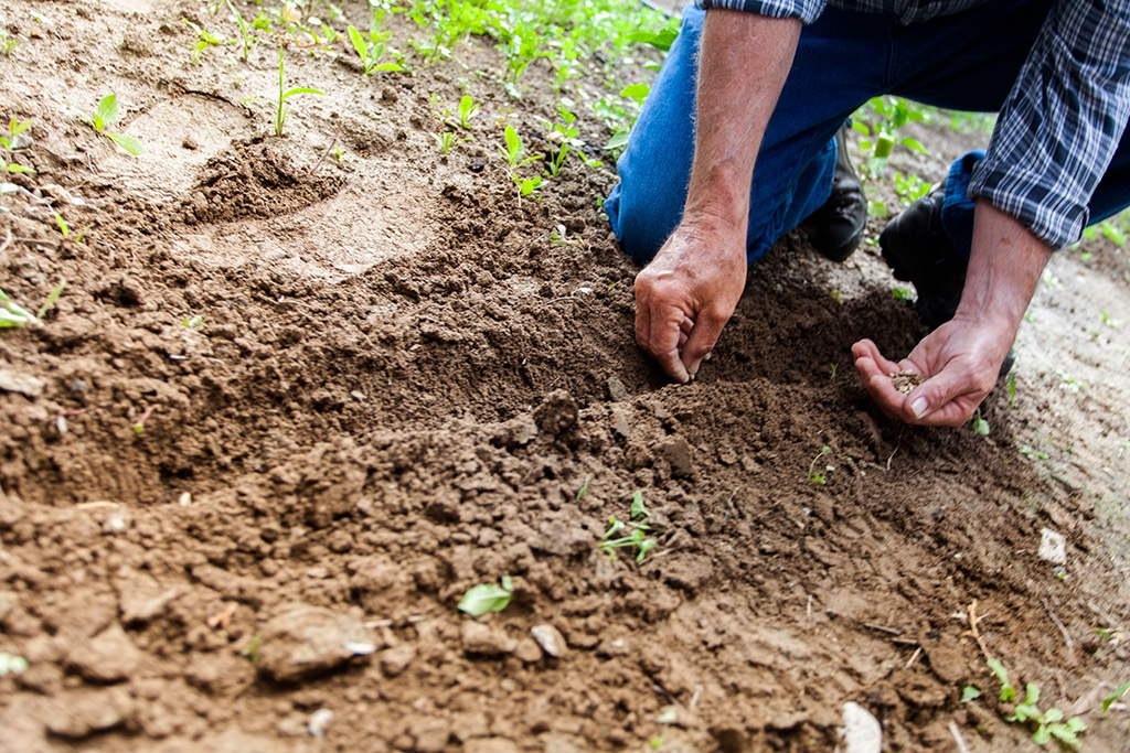 autorización ambiental integrada comunidad valenciana