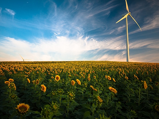 Aspectos de las tres R de la ecología